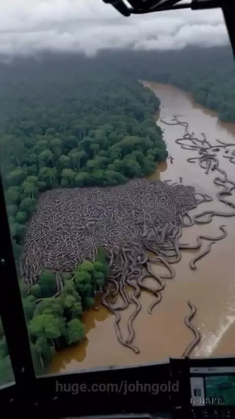 Aerial view of a river filled with snakes, with a giant skeletal serpent monster emerging from an explosion.
