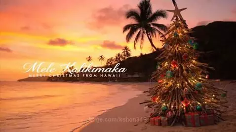 Hawaiian holiday filled with joy. by kshon313