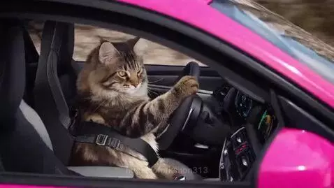 On my way to Pikes Peak today. by kshon313