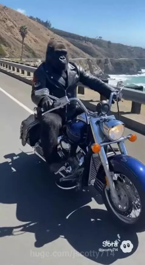 Gorilla Sunday Ride by jscotty714