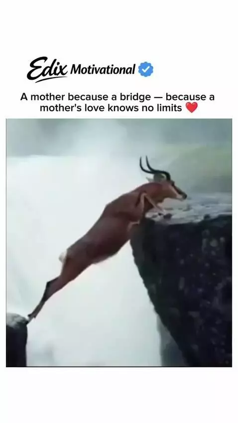 motivational by mhaseeb9996