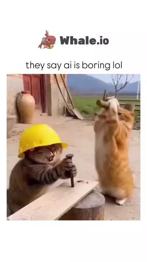 cat fight by mhaseeb9996