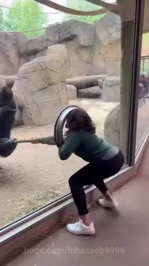 Close watching  Dangerous by mhaseeb9996