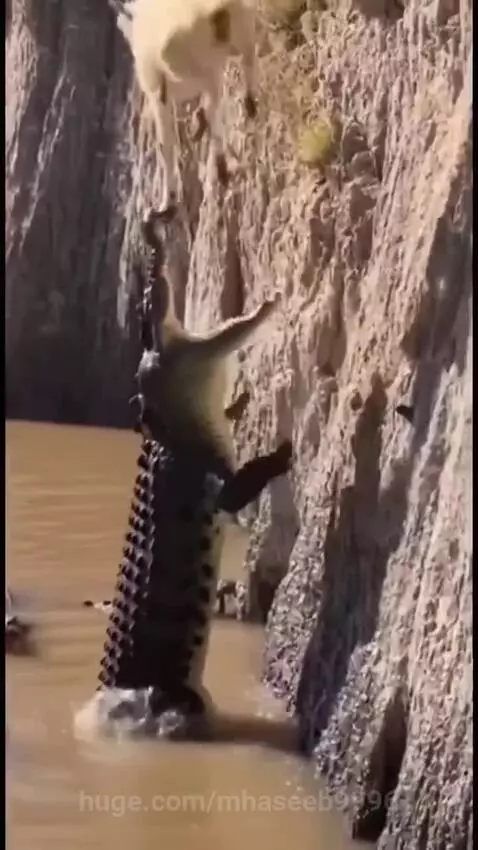 Help nature by mhaseeb9996