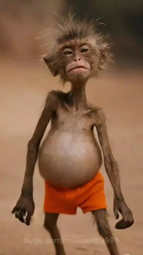 CGI monkey with thin limbs, large belly, and messy hair, wearing orange shorts, dancing energetically.