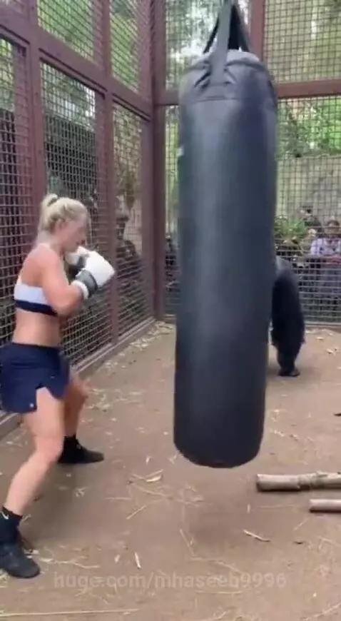 Grolia copy women by mhaseeb9996