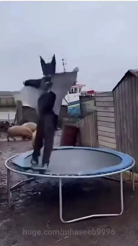 Person dressed as Batman crashing into a wooden fence after a failed trampoline jump.