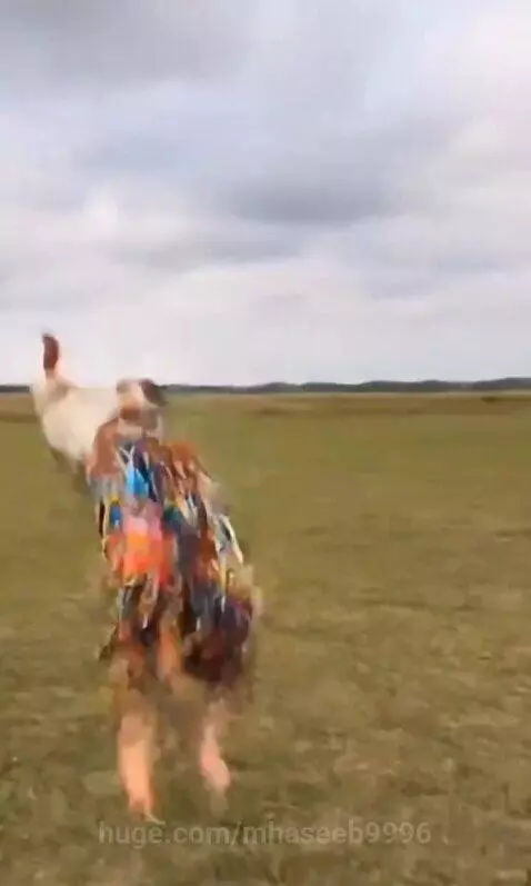 Elderly person in a white t-shirt and patterned pants performing a backflip in a grassy field.