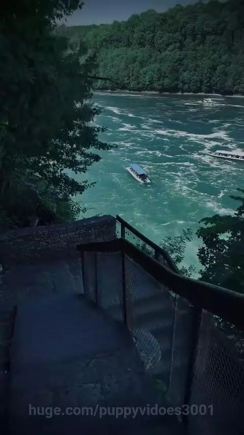 see view by puppyvidoes3001