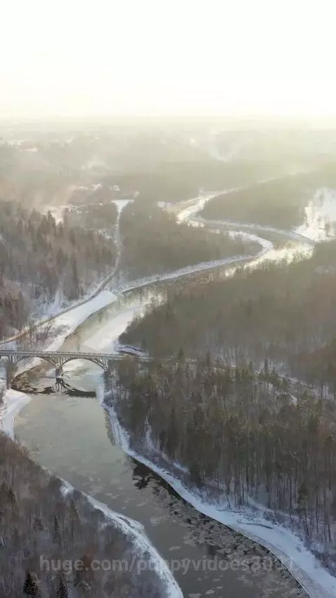 natural view by puppyvidoes3001