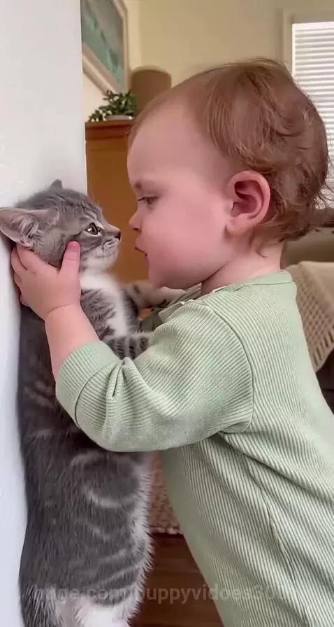 Baby with curly hair holding a grey tabby kitten, looking at each other.