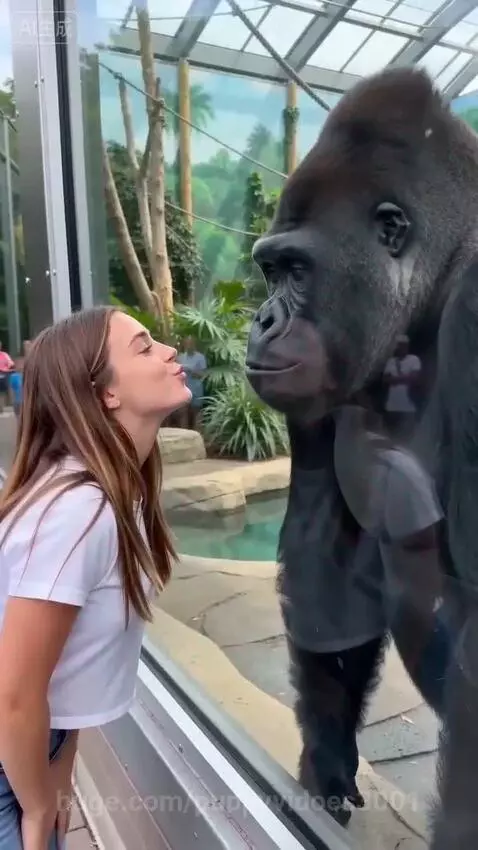 Woman in white t-shirt making kissing face towards a gorilla behind a glass enclosure at the zoo.
