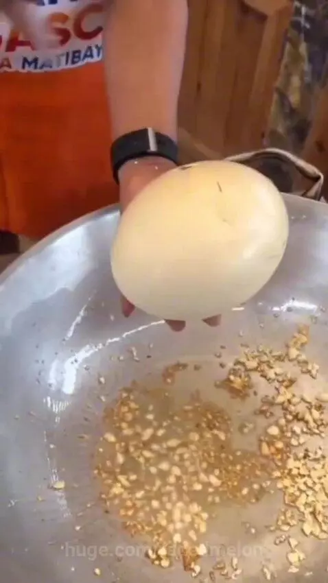 Egg cat 😺 by fadedmelon