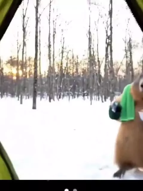 A marmot wearing a towel and smoking a pipe emerges from a tent in a snowy forest, holding a revolver.