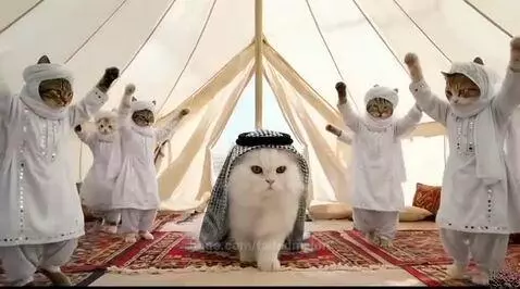 Anthropomorphic cats in traditional Middle Eastern attire dancing in a desert tent.