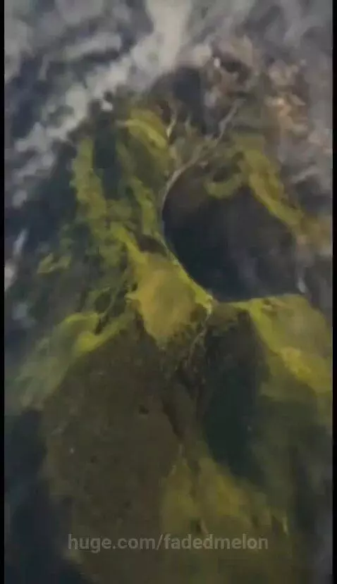 Welcome 🤗 2k26 donkey 🐴 by hassam