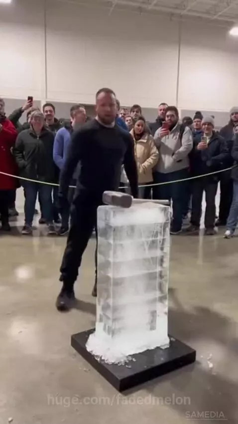 A powerful gorilla smashes a large ice block with its fists, shattering it completely.