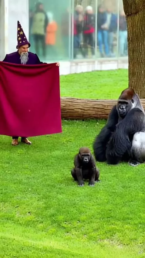 Wizard in purple robe attempts magic trick on baby gorilla; adult gorilla roars aggressively.