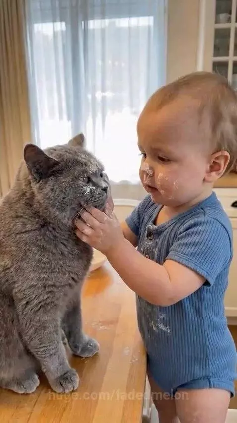 A baby with powder on its face gently touches a cat, then cries after the cat swats its face.