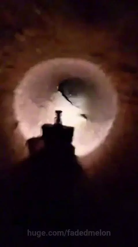 Mouse wearing a head camera exploring a dark burrow that opens to a colorful underground party with other mice.