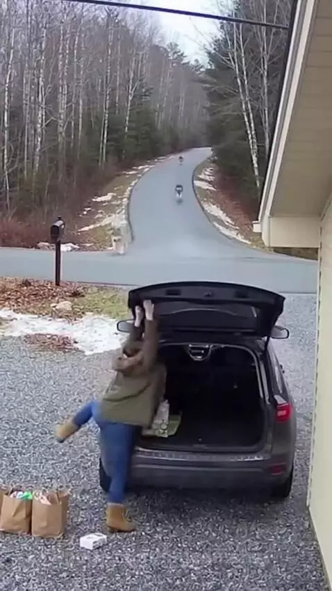 A person is trapped in an SUV trunk as wolves surround and jump on the vehicle.