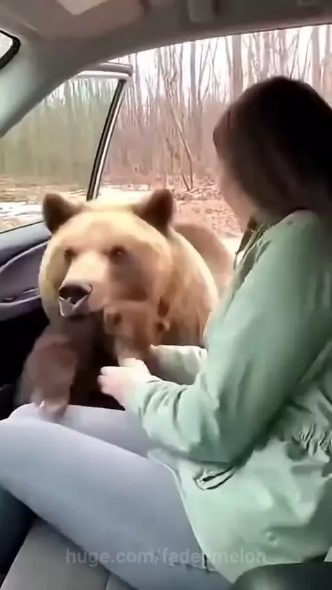 Hold it and save it 💛😯😲 by fadedmelon