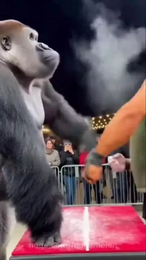Muscular man arm wrestling a realistic CGI gorilla at a table with a crowd watching at night.