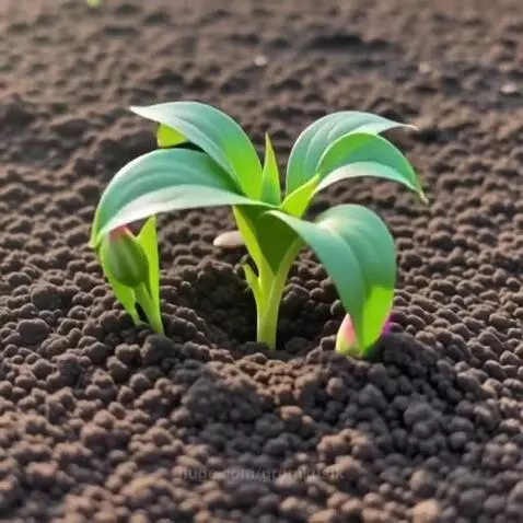 From the ground by gromkusik