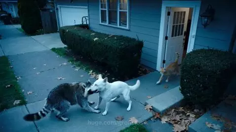 Fail II by gromkusik