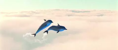 Two light blue animated dolphins swimming through fluffy white clouds in a clear blue sky.