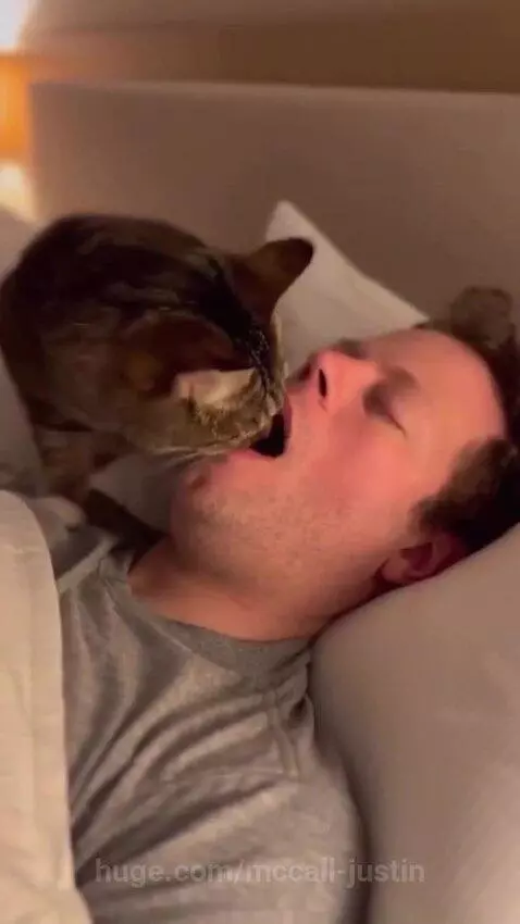 What 😯😯 by mccall-justin