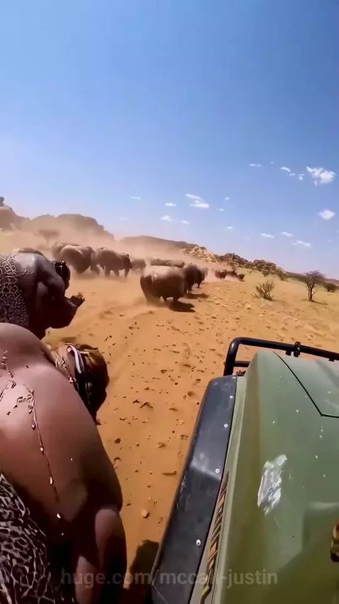 Why are they running like tho by mccall-justin