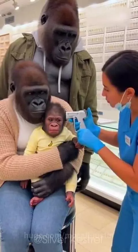 😂😂 by mccall-justin