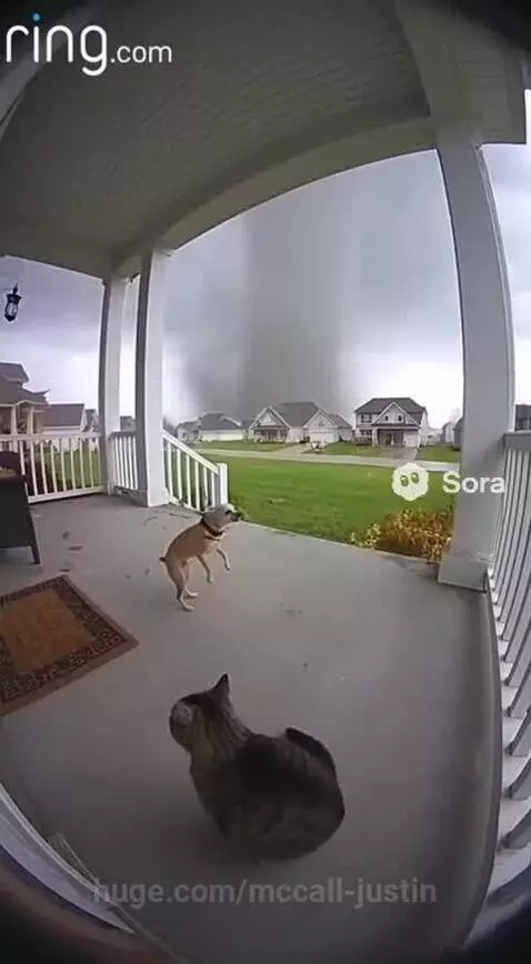 Crazy wind btw by mccall-justin