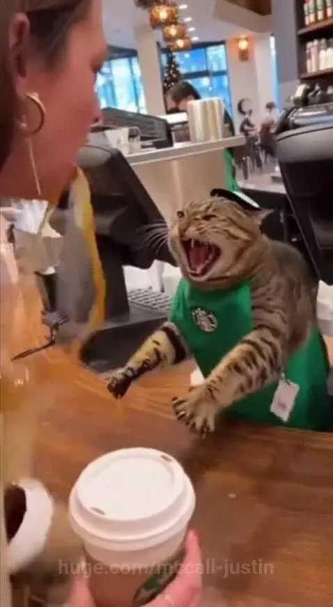 Very aggressive cat by mccall-justin