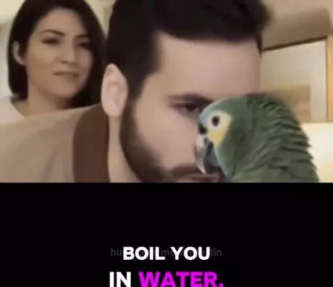 Insensitive parrot 😩 by mccall-justin