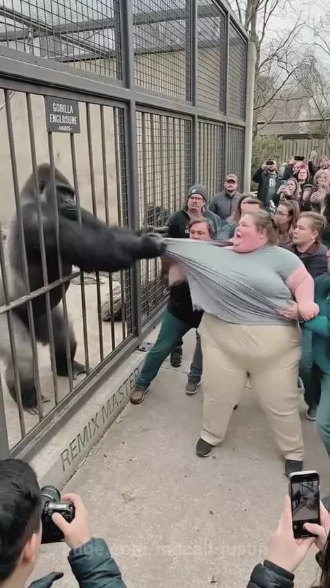 😂😂 by mccall-justin