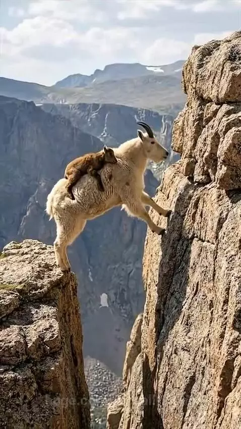 That took a lot 😅 by mccall-justin