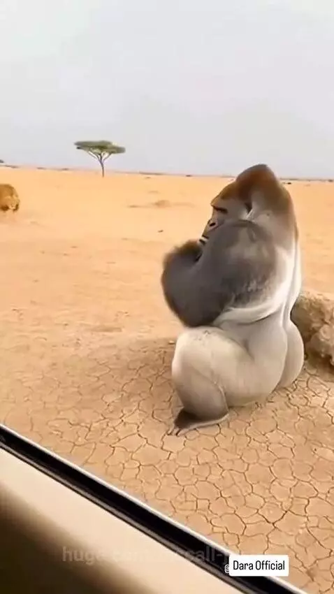 Just a single punch 😳 by mccall-justin