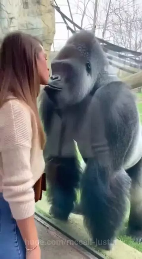 Nigga was jealous 😂 by mccall-justin