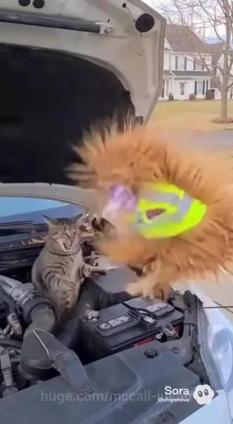 😂😂 by mccall-justin