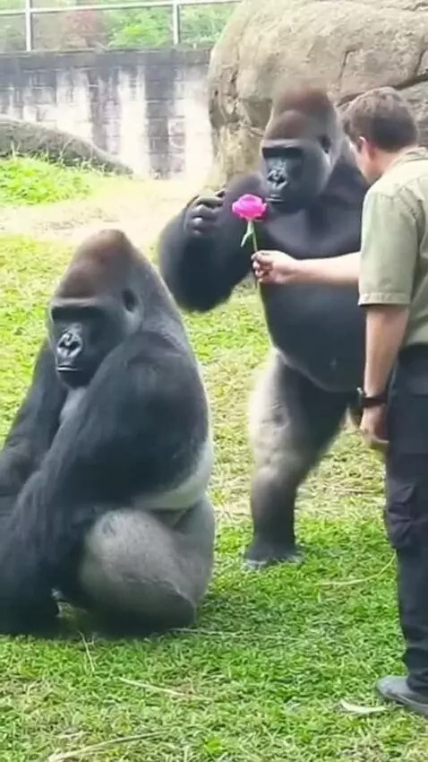 Awwwn love by mccall-justin