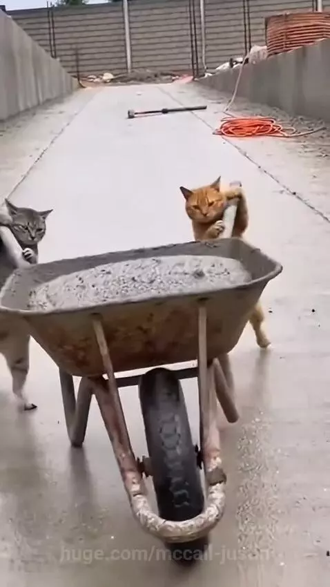 😂😂 by mccall-justin