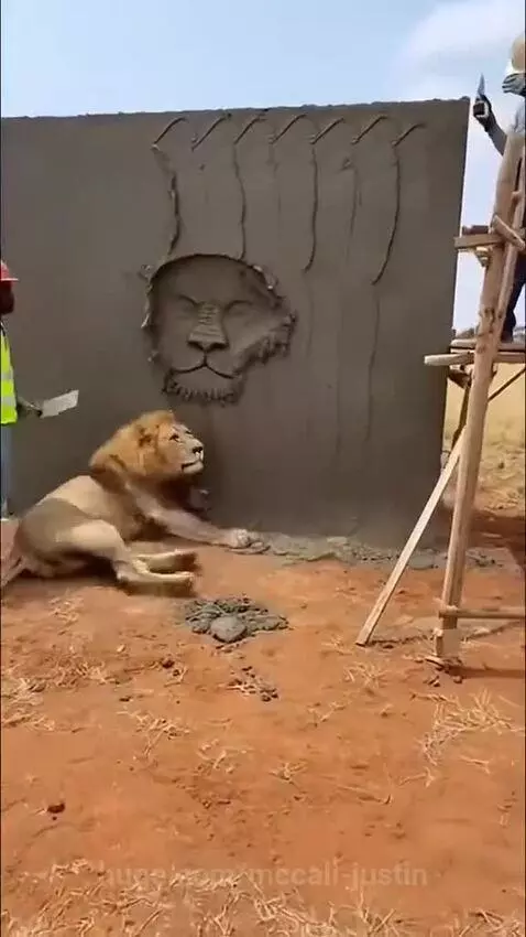 😂is that a coincidence? by mccall-justin