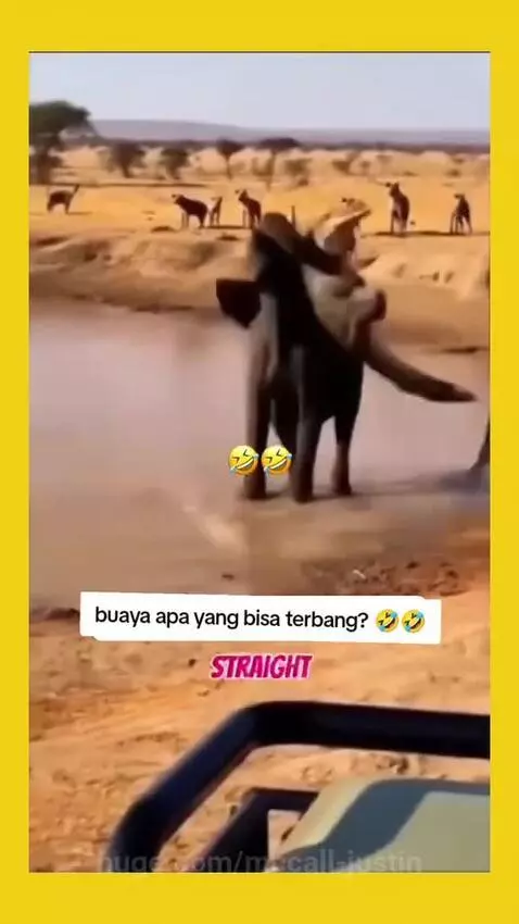 😂😂 by mccall-justin