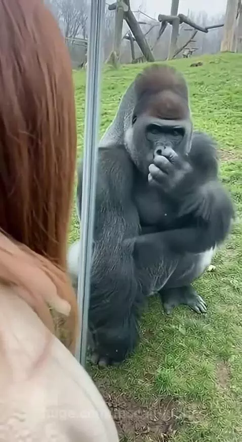 What was that 😭😂 by mccall-justin