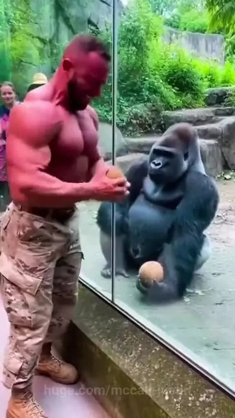 Muscles for nothing 😔 by mccall-justin