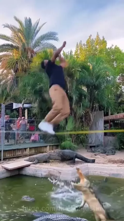 Man in black shirt and khaki pants performing a backflip over a pit filled with alligators.