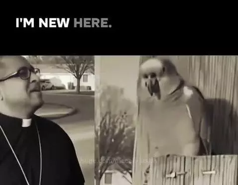 Sepia-toned split screen: man in priest attire on left, parrot on right. Priest asks parrot for directions.