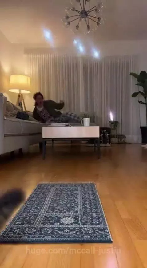 A parrot holding a toy water gun, aiming at sleeping cats and a person on a couch, with animated laser effects.